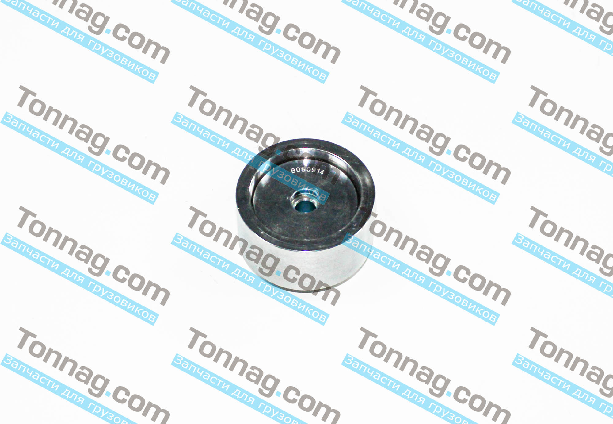 Ролик обводной TATA 613 E4 | фото 1