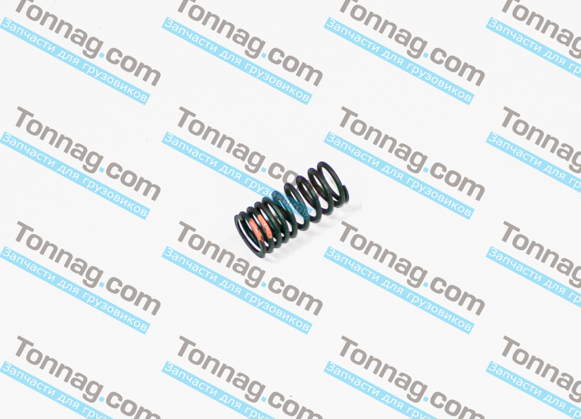 Пружина клапана ГБЦ внутренняя TATA 613 E3 | фото 1