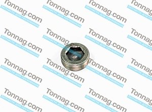 Заглушка ГБЦ 30x15 TATA 613 E2, E3