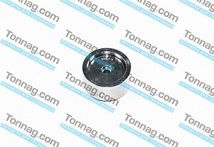 Ролик обводной TATA 613 E4