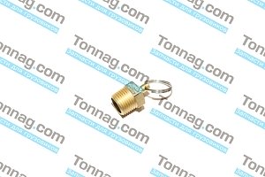 Клапан ресивера TATA 613 E2, E3