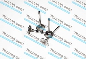 Клапан впускной (к-кт 4 шт.) E2 BAW 1044, YUEJIN 1041 