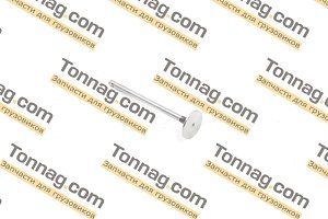 Клапан впускной Cummins ISF 3.8 Фотон 1051, 1061, 1069, 1089, 1113, 1126, 1128, 1129, 1163