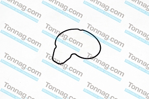 Прокладка водяного насоса Фотон 1039, 1049C