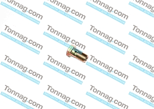 Болт шкворня (переходник на пресс масленку) JAC N-120, Компас-12