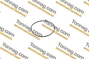 Кольцо уплотнительное ТНВД ISF 2.8 Фотон Фотон 1031, 1038, 1039, Toano