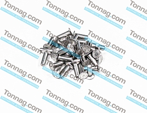 Заклепки для накладок тормозных колодок (к-кт 50шт) TATA 613 E2, E3