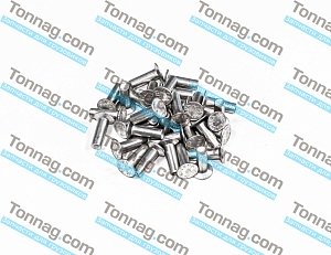Заклепки для накладок тормозных колодок (к-кт 50шт) TATA 613 E2, E3
