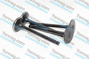 Клапан впускной BJ493QZ Фотон 1039, 1049C