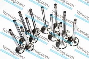 Комплект впуск. и вып. клапанов на ДВС 45/45 TATA 613 E2, Е3