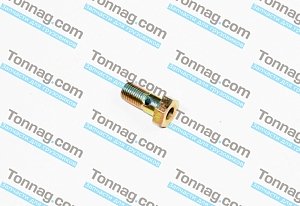 Болт шкворня под пресс-масленку (тавотницу) Фотон 1128