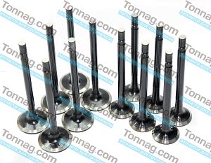 Комплект впуск. и вып. клапанов на ДВС 30/45 TATA 613 E3