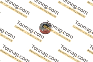 Заглушка ГБЦ 24x15 TATA 613 E2, E3