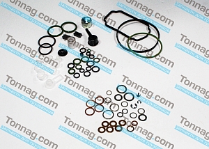 Ремкомплект ТНВД (с сальником) TATA 613 E2