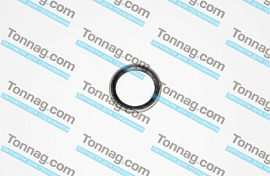 Кольцо вала первичного Фотон 1128